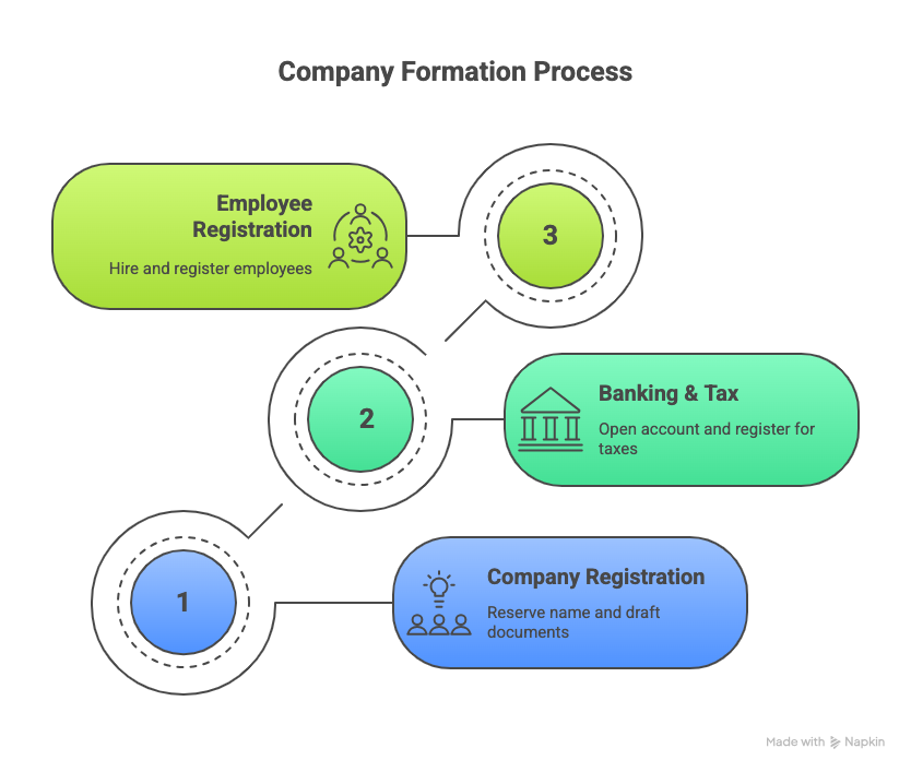 Company formation process schema